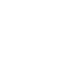 FESTINA